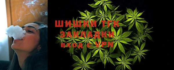 трава Карпинск