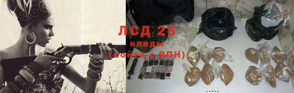 трава Карпинск
