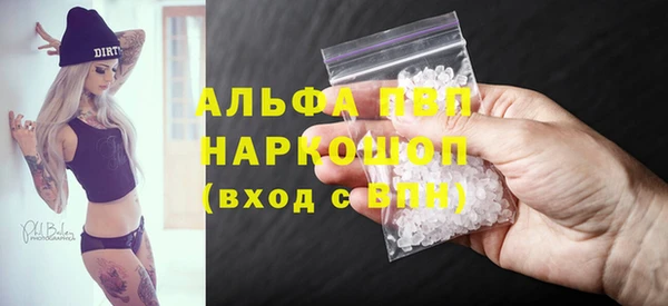 трава Карпинск