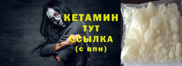 трава Карпинск