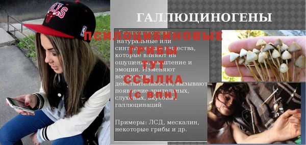 трава Карпинск