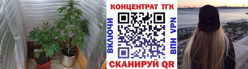 Купить где  Ветлуга  ТГК Wax 