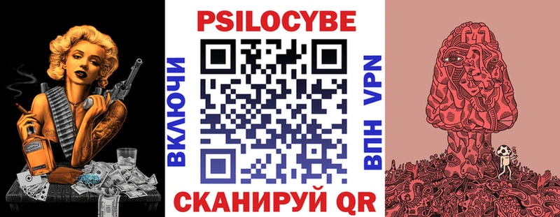 Купить где  Ветлуга  Галлюциногенные грибы GOLDEN TEACHER 